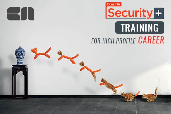 comptia security + training