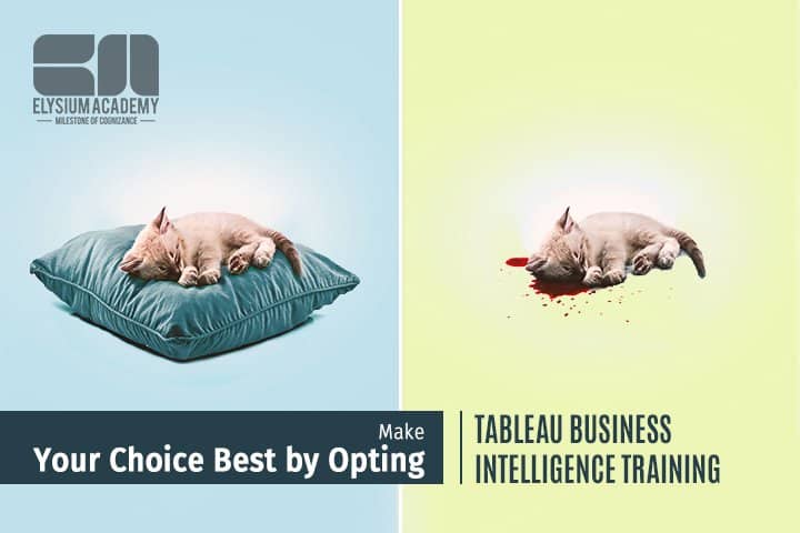 Tableau Business Intelligence