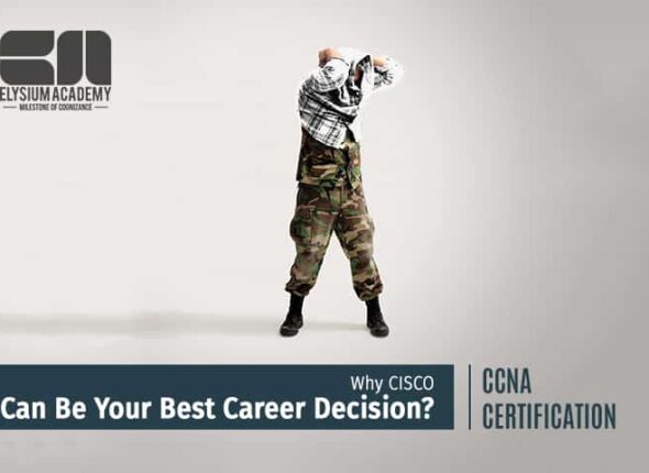 ccna jobs for freshers