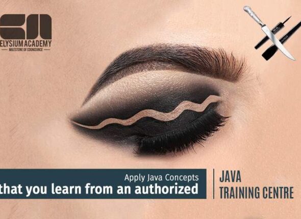 Scope of Java Developer