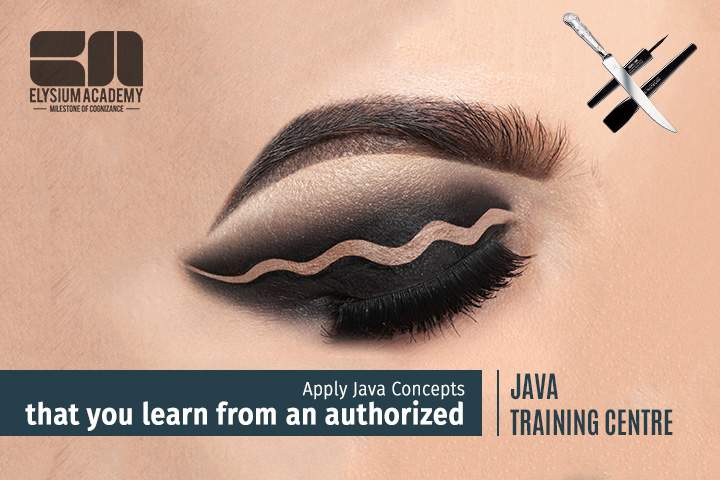 Scope of Java Developer