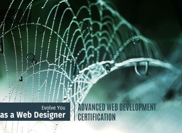 Advanced Web Development