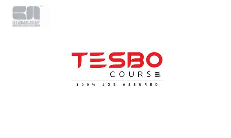 Job Assured TESBO Course