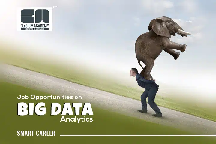 Big Data Analytics Career