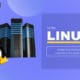 Applications of Linux Operating System