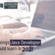 Java Developer Skills - 2021