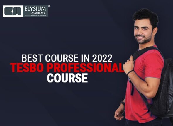 Professional Course