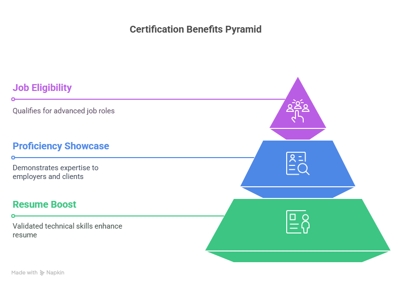 Best Database Management Courses and Certificates
