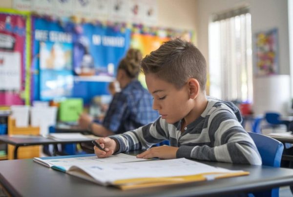 job oriented online course